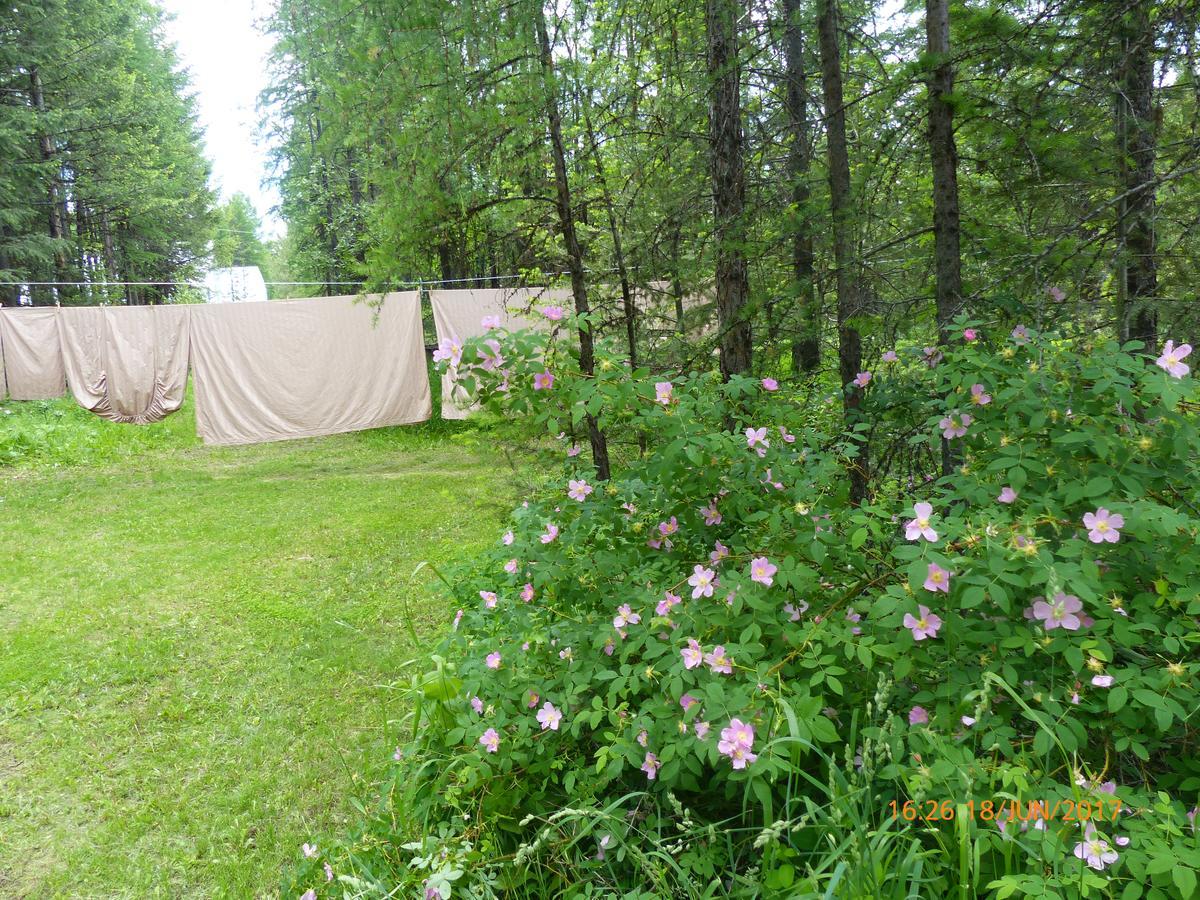 End Of The Road B & B Кранбрук Екстериор снимка